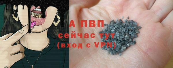 стаф Абаза